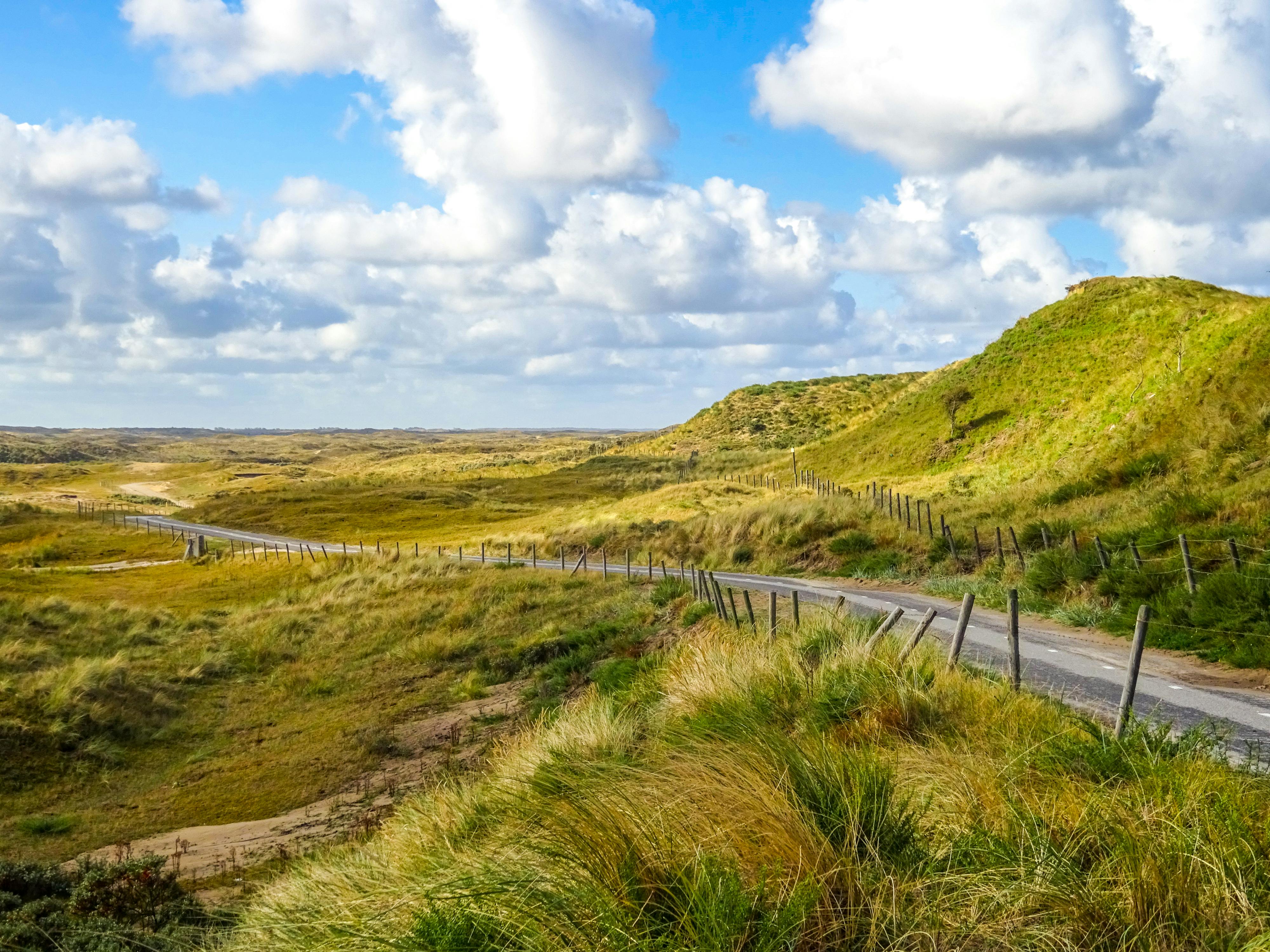 Duinen Zandvoort